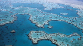 The Great Barrier Reef Has a Surprisingly Morbid History<em></em><em></em>